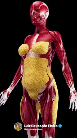O que acontece no seu corpo se você eliminar o açúcar? Já segue @luiz.educacaofisica para não perder nada sobre saúde. ⚠️Já SALVA esse post para consultar quando precisar!! 😉 #gym #vidasaudavel #açúcar #doce