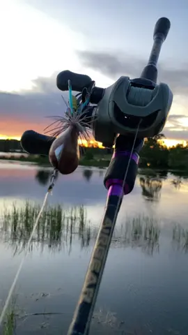 จะแห้วแบบนี้ทุกวันไม่ได้น่ะ😩😁#เทรนด์วันนี้ #ตกปลาชะโด #ฟีดดดシ #อย่าปิดการมองเห็น 