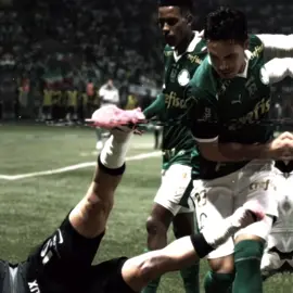 e a gambazada..😝🐷  #viralvideo #fyp #palmeiras #fy #foryou #sociedadeesportivapalmeiras 