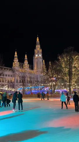 El mejor plan si estas en Viena esta Navidad! 🎄🎅🏻#christmas #winter #christmasmarket #travel #snow #wien #austria 