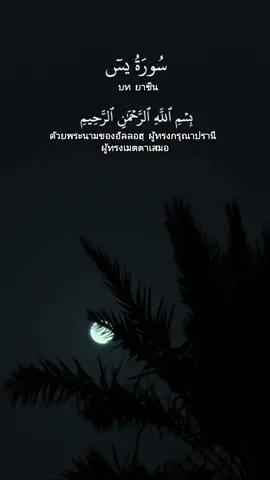 ซูเราะฮ์ ยาซีน | سورة يس โองการ 1-54 #اسلام_صبحي  #quran  #เรียนรู้อิสลาม  #TikTokUni 