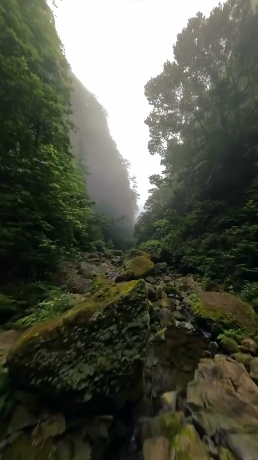 #Repost @ivan.merino5  —— 📍Caldeirão Verde, Madeira. #waterfall #foggy #forest #fpv #fpvdrone #dronevideo #filmmakersworld #greenscreen #greenscreenvideo #nature 