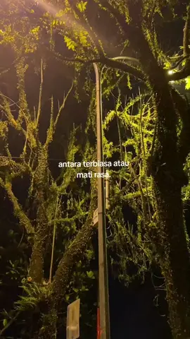 #fyppppppppppppppppppppppp #fypage #storytime #sad #sadsong #storywa #xybca #sadvibes #fyp #sadgirl #sadboy #galaubrutal #galaustory #masukberanda 