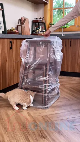 Ghế cao kiêm thang 3 tầng đa năng chất liệu gỗ tự nhiên, thiết kế thông minh có thể xếp gọn