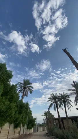 الرايد درب بي يهتدي #محمد_باقر_الخاقاني #حسينيون #حسينيات #منطقتنا #ملا_محمد_باقر_الخاقاني #تصويري #تصوير #حاتم_ال_علي #t #k #y 