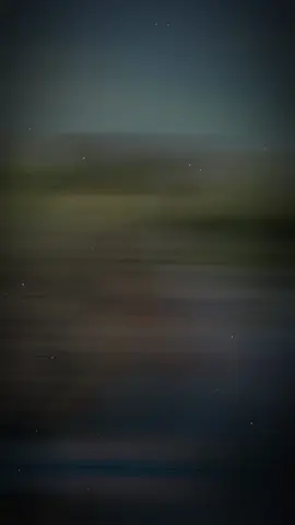 #CapCut 