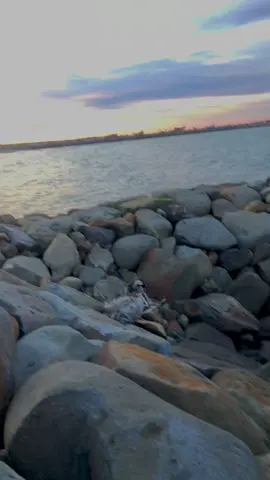 🪐😌🪸✨ #fyppppppppppppppppppppppp #sanset #krungmane #pantai #laguacehviral #viral #cewekaceh 