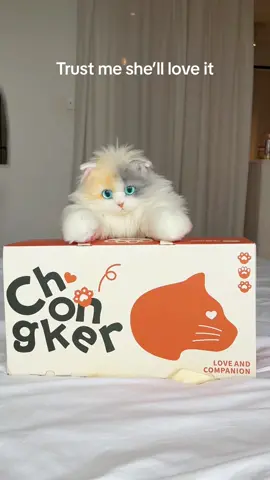 Im just a cat lover 🤍🐈💝#catlover #catsoftiktok #chongker #plushbag #giftideas #giftforher #fyp #fypシ 
