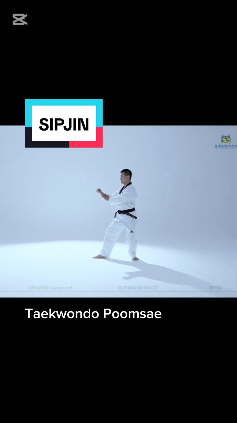 SIPJIN Taekwondo Poomsae #videoviral #taekwondo #taekwondoindonesia #taekwondogirl #taekwondofighter 