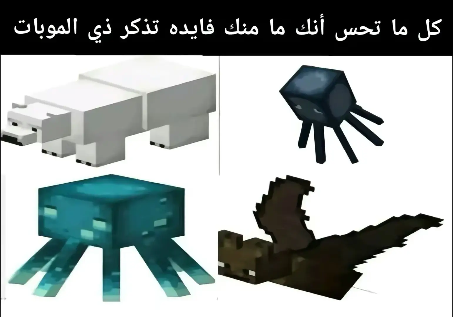 #ميمز #ماينكرافت #جيمنج #foryou #جيمنج_بالعربي 
