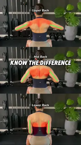 Seated Cable Row Know The Difference Mid Back Focus: Position your upper arm at a 45-degree angle to your torso. This targets your mid back. Upper Back Focus: Place your upper arm at a 90-degree angle to your torso. This emphasizes your upper back. Lower Back Focus: Keep your upper arm parallel to your torso. This focuses on your lower back. #rows #back #backworkout #back #upperbody #workouttips #gymtipsforbeginners #gymtips #gymrat #gymgirl #fyp #gymmotivation #cablerows
