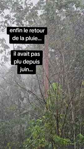saison des pluies guyane