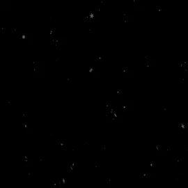 فاقد مصيبه .....#سيد_فاقد_الموسوي #اهات_حسينيه #شور_حتى_الظهور #f#humor #fffffffffffyyyyyyyyyyypppppppppppp #youtube 