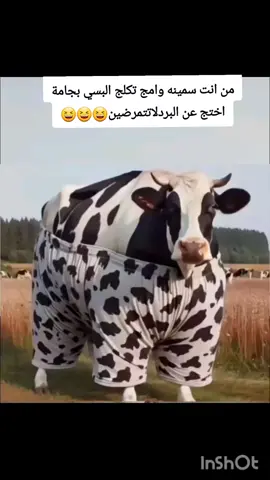 #تحشيش_عراقي_للضحك😂😂😂 #الشعب_الصيني_ماله_حل😂✌️ 