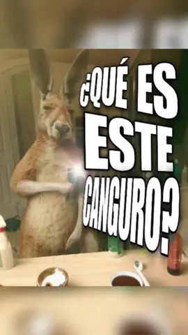 SELFIE DE CANGURO | #fy #fyp #fypage #parati #viral #meme #shitpost #shitposting #español #españollatino #fyppppppppppppppppppppppp #canguro #selfie #teamcanguro 