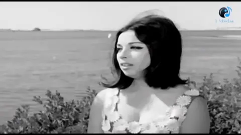 كل ده وقلبي الي حبككك!!#4u #foryou #نجاة_الصغيره #اغاني #