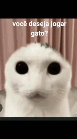 jogo do gato assustador parte 1 #assustador #fyp #gatos 