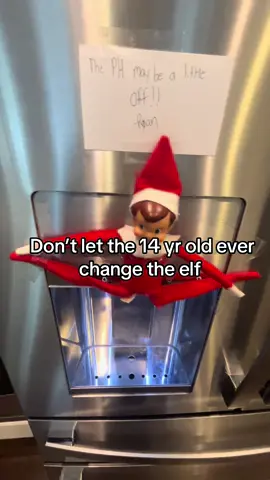 Elf on the shelf #christmas #xmas #christmastree #elf #elfontheshelf #funnyvideo #trending #fypシ #fyp #fypppppppppppppp #viralvideo 