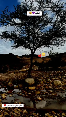 #الشويرات #الظل #شويرات_البيظان #موريتانيا🇲🇷 #تمراست_ادرار__تميمون_عين_صالح #اكسبلورexplore #اوجفت🤍 