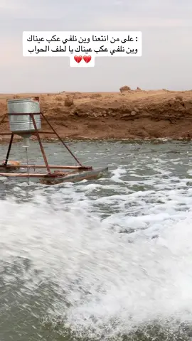 #تكريت_صلاح_الدين_الزهور #بلاج_تكريت #الجزيره تكريت 