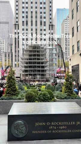 NYC’s most popular Christmas tree is here!!! #explorenycfree #rockefellercenter #nycchristmastree #thingstodoinnyc #nycholiday 