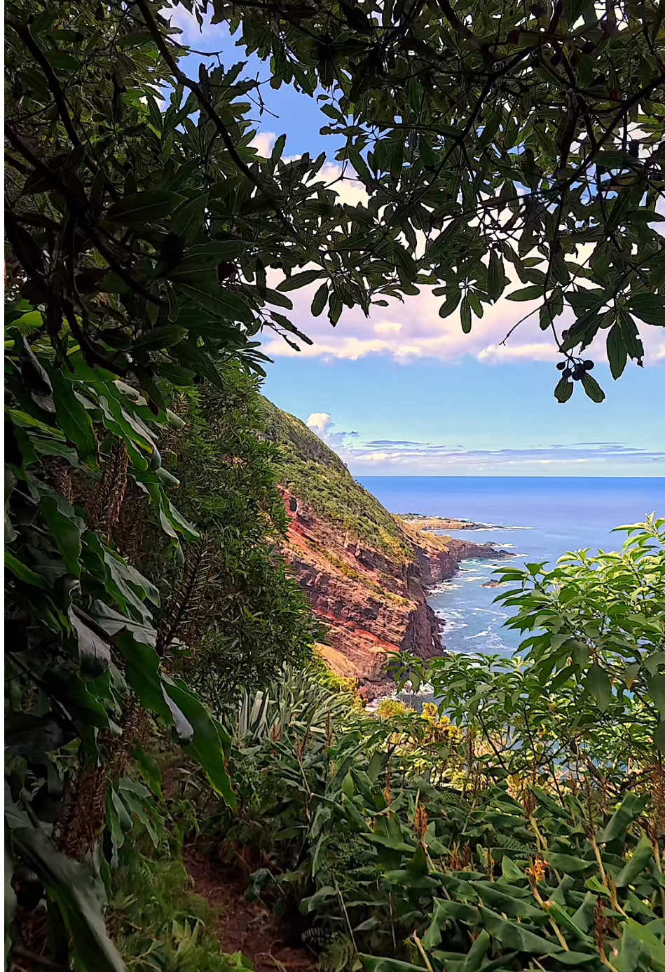 Hike to Paradise #fyp #foru #foruyou #forupage #Hiking #hike #walk #walking #nature #paradise #Outdoors #amazing #beautiful #beautifuldestinations #view #natureza #naturelover #naturelovers 