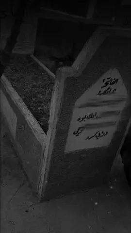 ئەمشەو یادی تۆ وەک شەوانی تر🖤. #editor #kurdisheditor #kurd #inshot #capcut #kurdishsong#گۆرانی_کوردی 