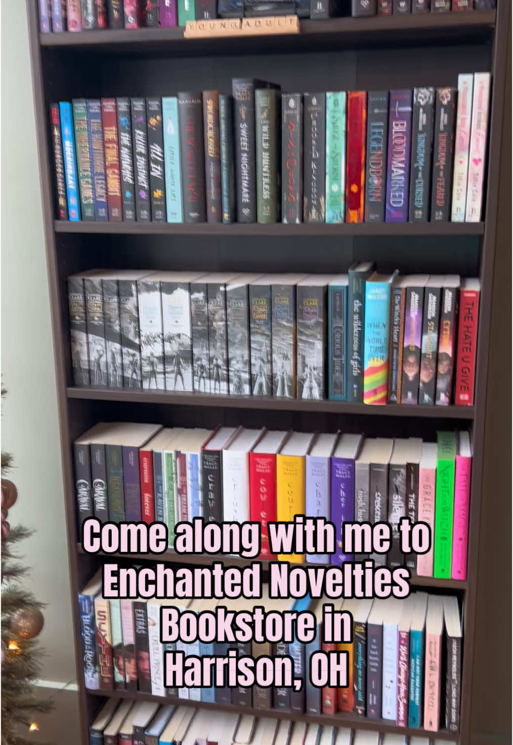 Checked out Enchanted Novelties bookstore in Harrison, OH today! They hosted a local author signing and I finally met @Chrissy Hopewell, ❤️ Author, as well as @Author S. Frasher! I was blown away by how bookishly cute the store is, as well as their selection of books and gifts for book lovers. #enchantednovelties #harrisonohio #cincinnatibookstore #BookTok #bookstagram #cincinnatiauthor 