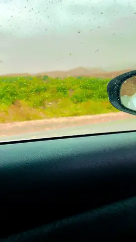 #muneer__nawaz #foryou #fyp #follow #like #viral #explore #kabul_to_mazar#viral  #🖤🥀 