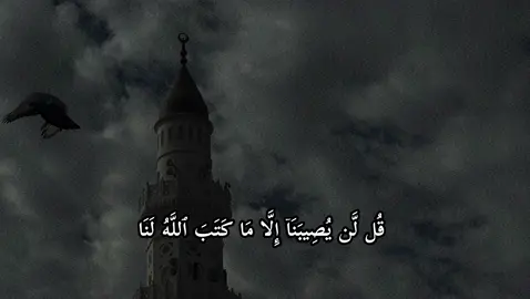سورة التوبة | 51 | القارئ : #ياسر_الدوسري #quran #foryou #viral #اجر_لي_ولكم 
