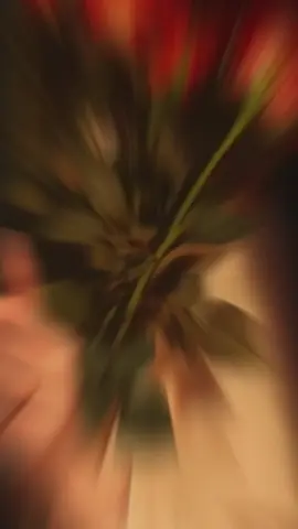 #خلفيات_فخمه #اكسبلور #جوال #خلفيه_جوال #تميز #خلفيات_عالية_الدقة #ترند #الشعب_الصيني_ماله_حل😂😂🏃🏻‍♀️ 