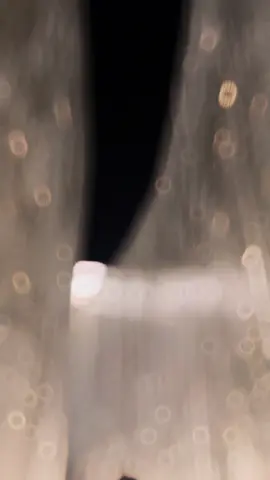 😌 #fyp #banjarmasin 