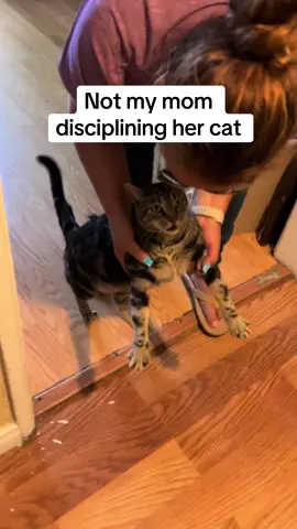 She's gotta learn how we all did 🩴🩴🩴😂😂 #cat #cats #gato #gatos #catsoftiktok #gatostiktok #mom #mother #MomsofTikTok #momlife #momtok #mama #mamasoftiktok #mexican #mexicantiktok #latinos #latinosenusa #latinosbelike #fy #mexicansbelike 