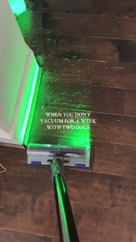 I think i need robot vacuum recommendations 😅 #dyson #dysonvacuum #vacuum #vacuumtherapy #cleaning #CleanTok #dogs #dogtok #doghair #vacuumingasmr 