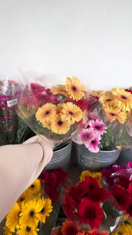 Balanced & clean eating 🥒🥬🍳#groceryhaul #traderjoes #wellness #healthymeals #healthyrecipes #fyp 