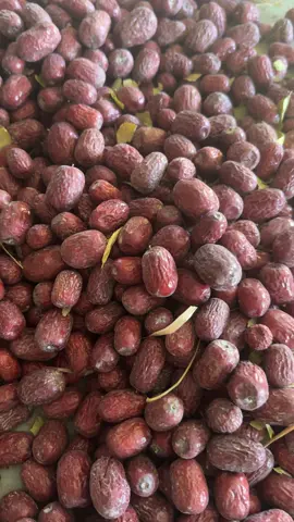 Táo bụi nhược khương mùa mới có rồi cả nhà #giangphamtaodo #taobuinhuockhuong #taonhuockhuongnguyenbui 