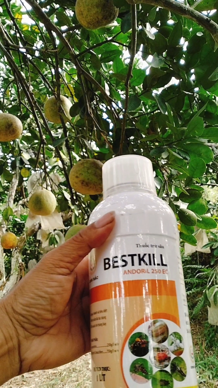 bestkill cực mạnh cực nhanh #bestkill #chephamsinhhoc  #hoanghoa70  #xuhuongtiktok 