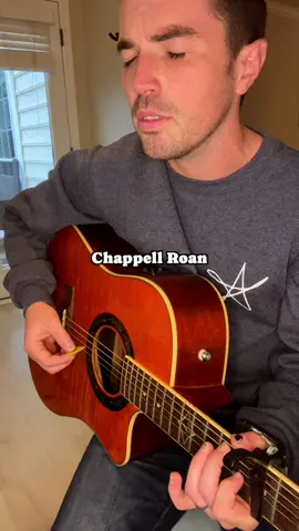 #thatfunnyfeeling #boburnham #phoebebridgers #inside #cover 