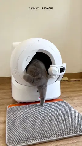 Cuma PETKIT yang punya cat litter box dengan kamera bertenaga AI yang bisa mengidentifikasi setiap kucingmu dari bentuk wajah dan warna bulunya, serta bisa berputar mengikuti pergerakan kucingmu🙀🤩 #CatLitterBox #SelfCleaningCatLitterBox #Purobot #PurobotUltra #petkit #petkitid #petkitindonesia