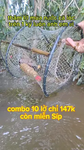 combo 10 lờ cá cải tiến vành nhựa đang seo chỉ 147k #phodaclocacaitien #xuhuong2025 #loca #videoviral #xuhuongtiktok 