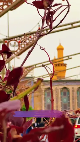 في ودائعك يارب .. رجاءاتُ أرواحنا، خفقاتُ ‏نبضنا، وثِقال همومنا، وأغلى ما نُحب♥️