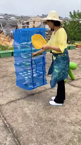 Các bạn cứ tự tin phơi thực phẩm mà không phải lo côn trùng #giadung #giadungtienich #giadungthongminh #dodungtienich #dogiadungthongminh288 