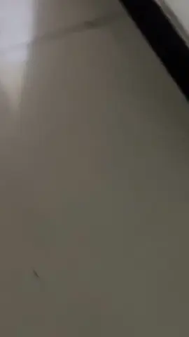 #Ophiuchus #rec #recommendations 