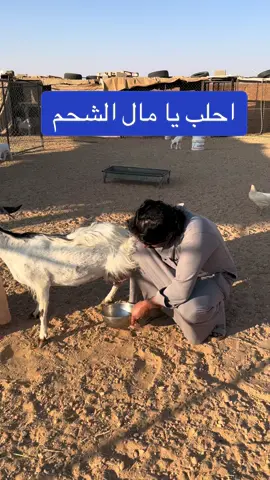 #ماهوشغلك#حلالي وانا ابخص فيه#شروره_نجران_الوديعة 