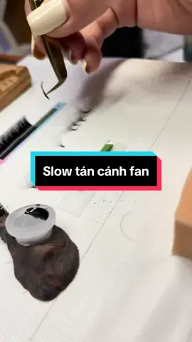 Slow cách tán sợi chuẩn đều cho chị em tham khảo nè #gdongeyelashes #eyelashfanhandmade #noimi #noimichauau #nhípnoimi #volumefan #viraltiktok #fantasyeyes #chiasekinhnghiem #eyelashextensions #noimidep #volumelashes #xuhuongtiktok2024 