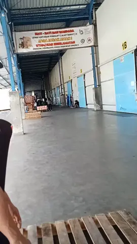 #pypシ 