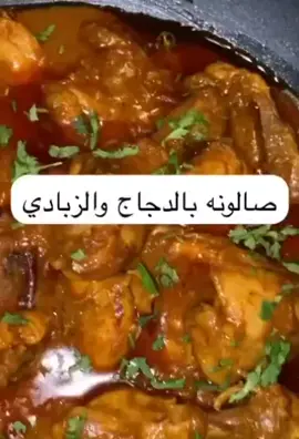 ##صالونه بالدجاج والزبادي##