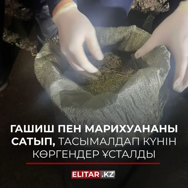 ҰҚК Жамбыл облысы бойынша департаменті прокуратура органдарының үйлестіруімен қатысушылары есірткіні аса ірі көлемде тасымалдады және сатты деген күдікпен екі есірткі тобының әрекетінің жолын кесті. Сонымен, Т.Рысқұлов және Меркі аудандарында 14 кг-дан астам гашиш пен 42 кг марихуананы сатуға әрекеттенген екі Қазақстан азаматы ұсталып, сот санкциясымен қамауға алынды. Қылмыстық кодекстің 297-бабы 3-бөлігі бойынша сотқа дейінгі тергеп-тексеру жүргізілуде.