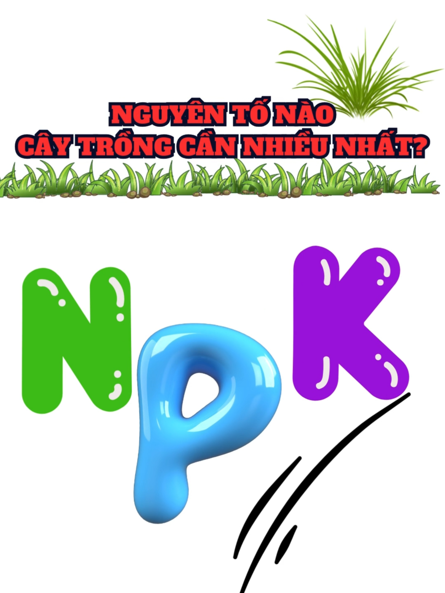 Đâu là nguyên tố cây cần nhiều nhất??? #nông_dân_cần_biết #MKA #Đạm #Lân #Kali