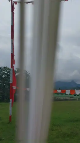 MASIH DENGAN BURUNG JABLAY YANG SAMA SIKASIK. GEBER SENDIRI VIDIO SENDIRI. LUMAYAN BUAT KONTEN.  #merpatikolong #pmti #merpatijablaydor #pmtibogordepok #pmtiindonesia #viral #pmtitasikmalaya #pmtikebumen #semua #merpatidor #fyp #sorotan #merpatilovers #pmtinasional #pmtipurbalingga #fypシ゚viral #banjarnegara 